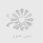 هادي طارمي(زندگينامه)